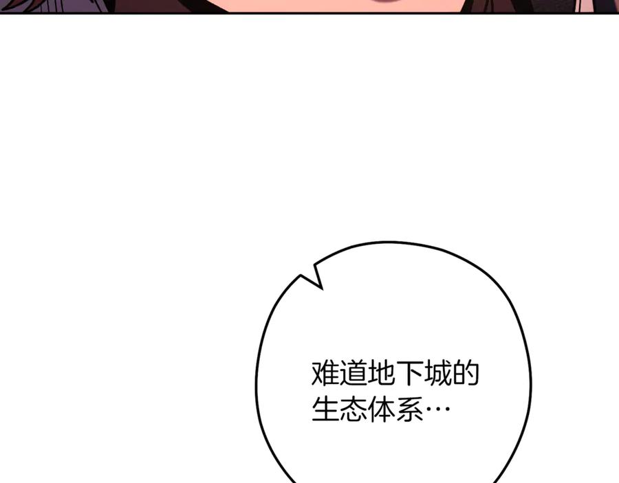 198.jpg