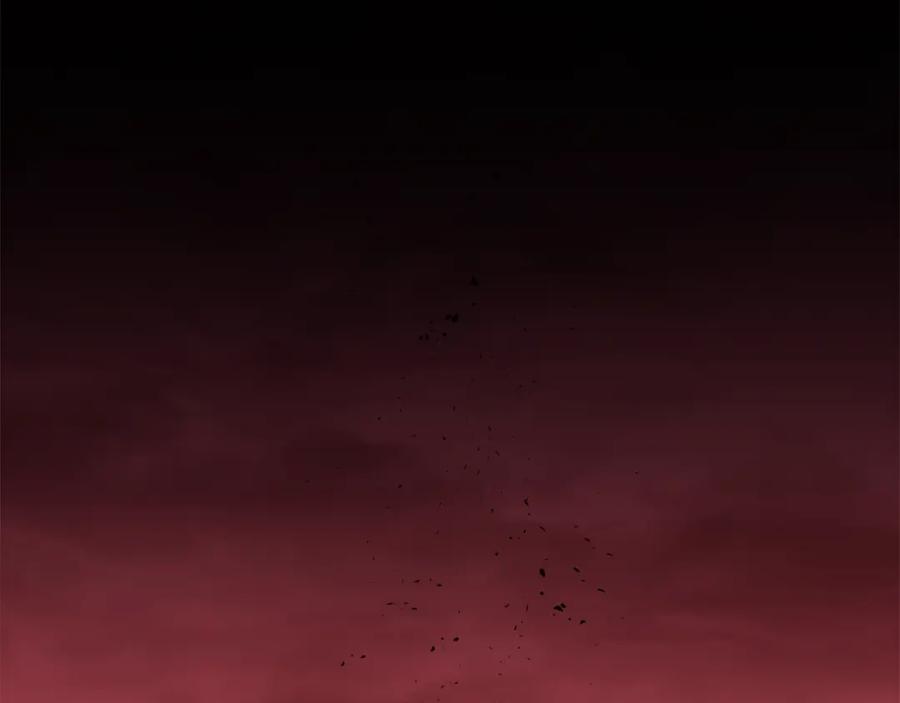144.jpg