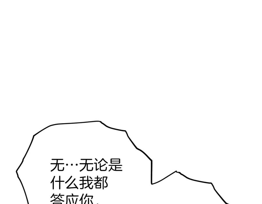 230.jpg