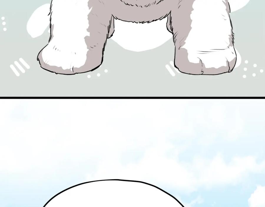 229.jpg