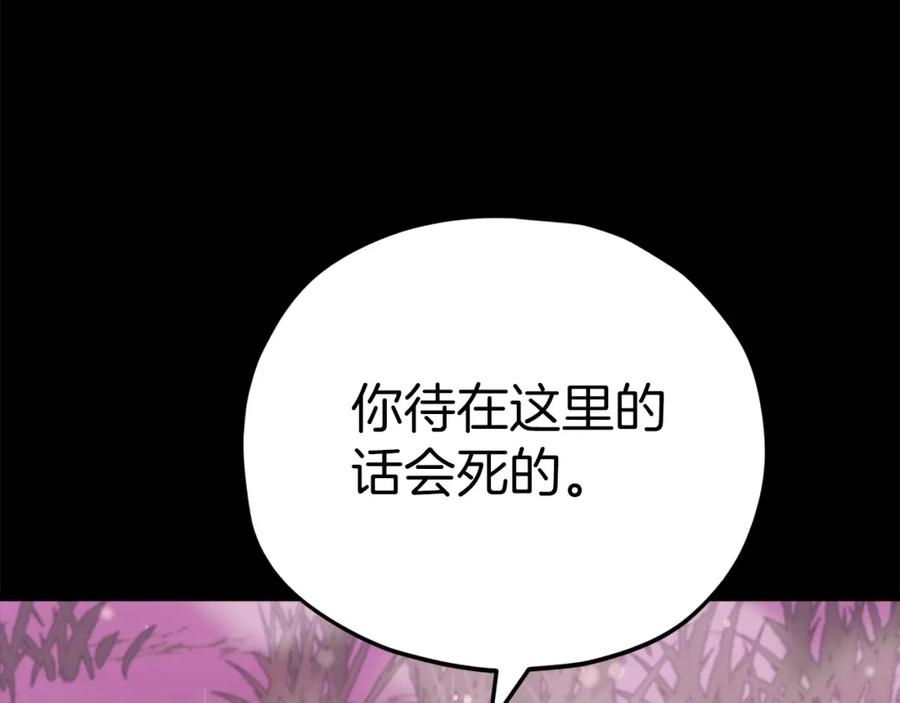 211.jpg