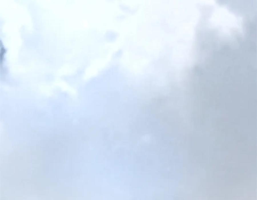 第337话寻宝-末世为王-大行道动漫（第12张）
