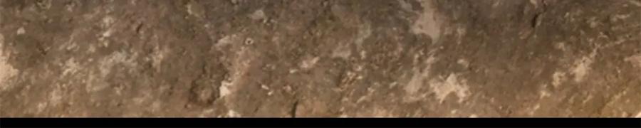 第345话基因暴走-末世为王-大行道动漫（第24张）