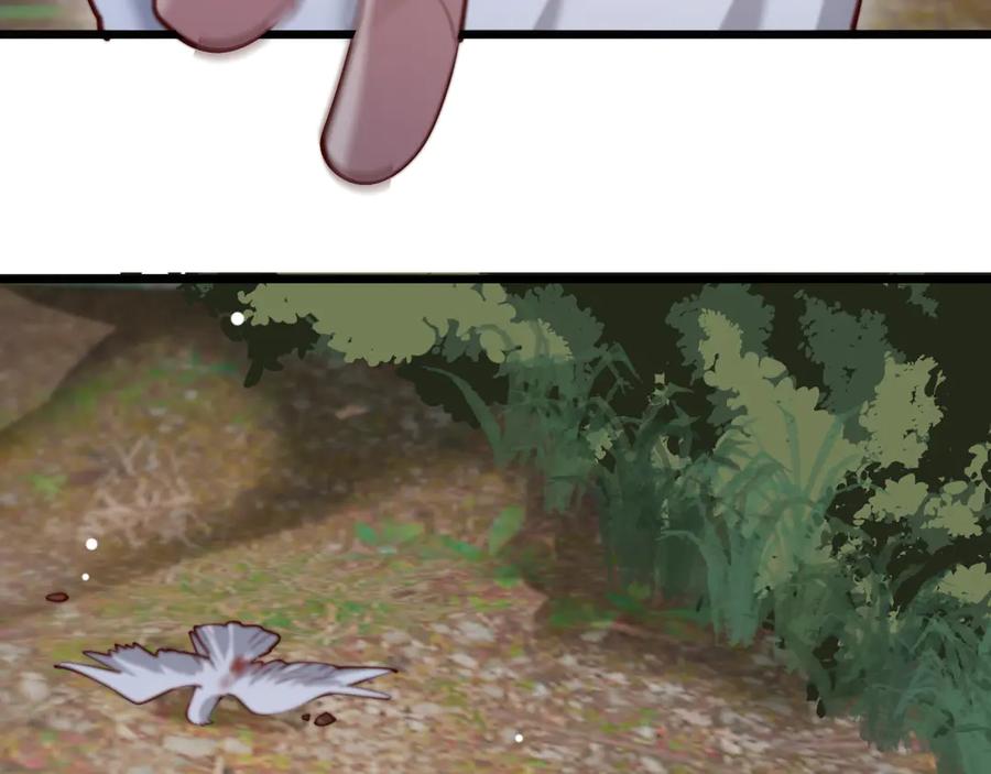 51.jpg