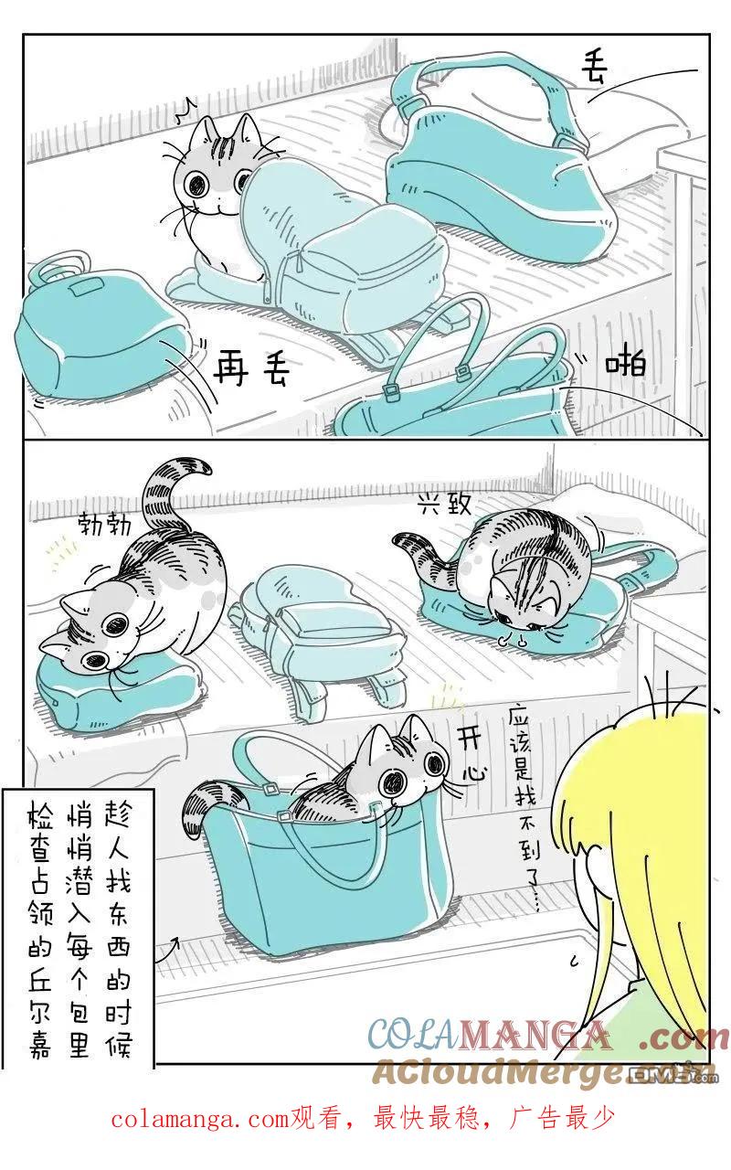 第231话-关于养猫我一直是新手-キュルZ（第2张）