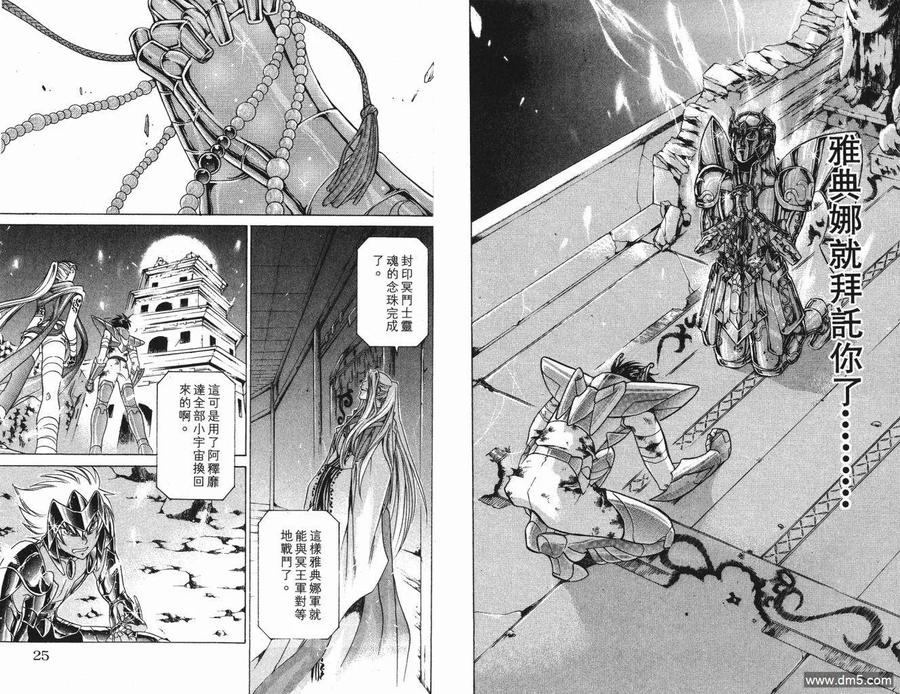 第5卷-圣斗士星矢 冥王神话-手代木史织（第11张）