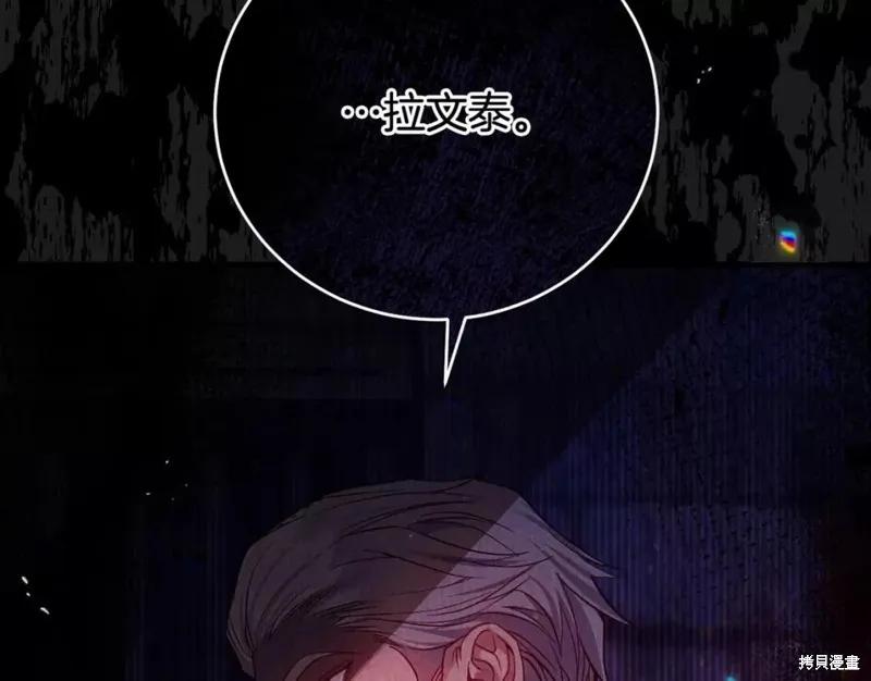 203.jpg