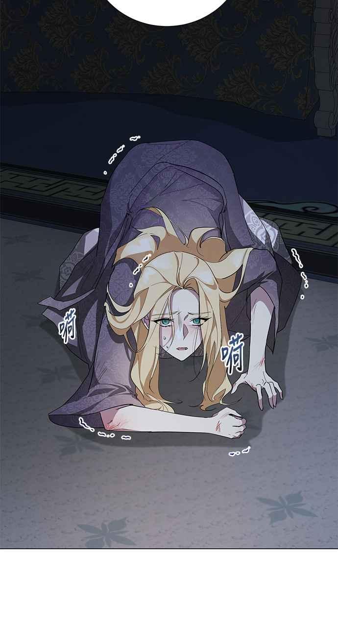 41.jpg