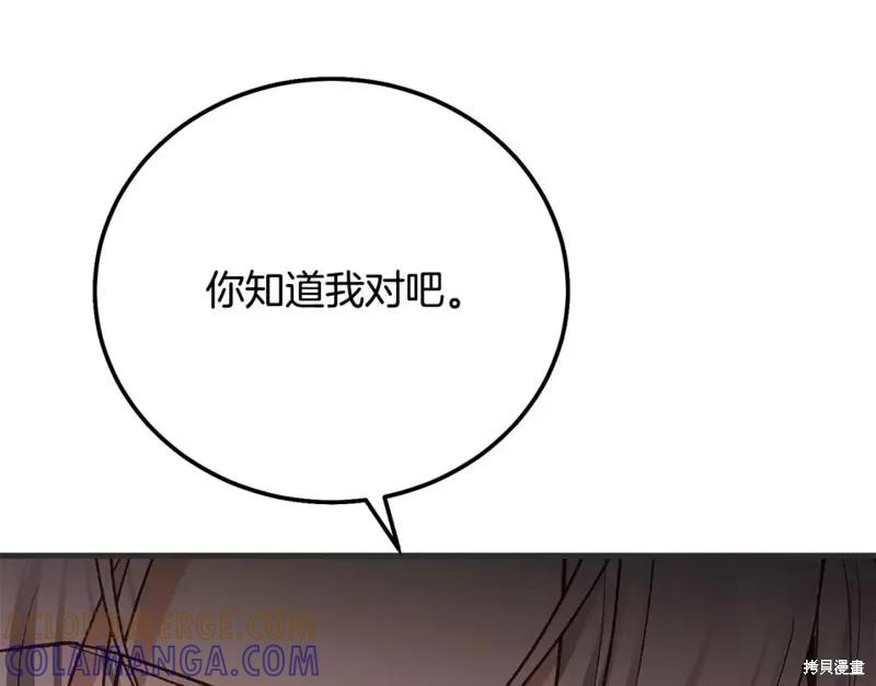 113.jpg