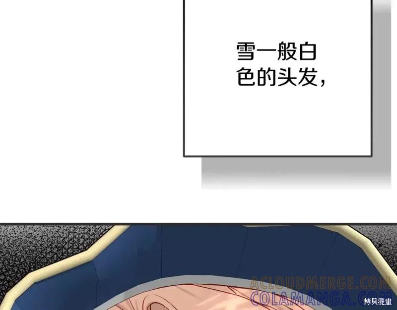 173.jpg