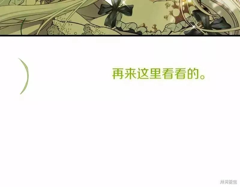 219.jpg