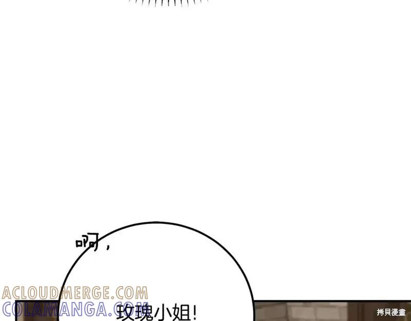 157.jpg