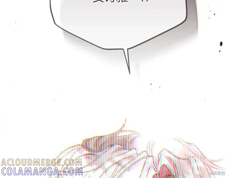 213.jpg