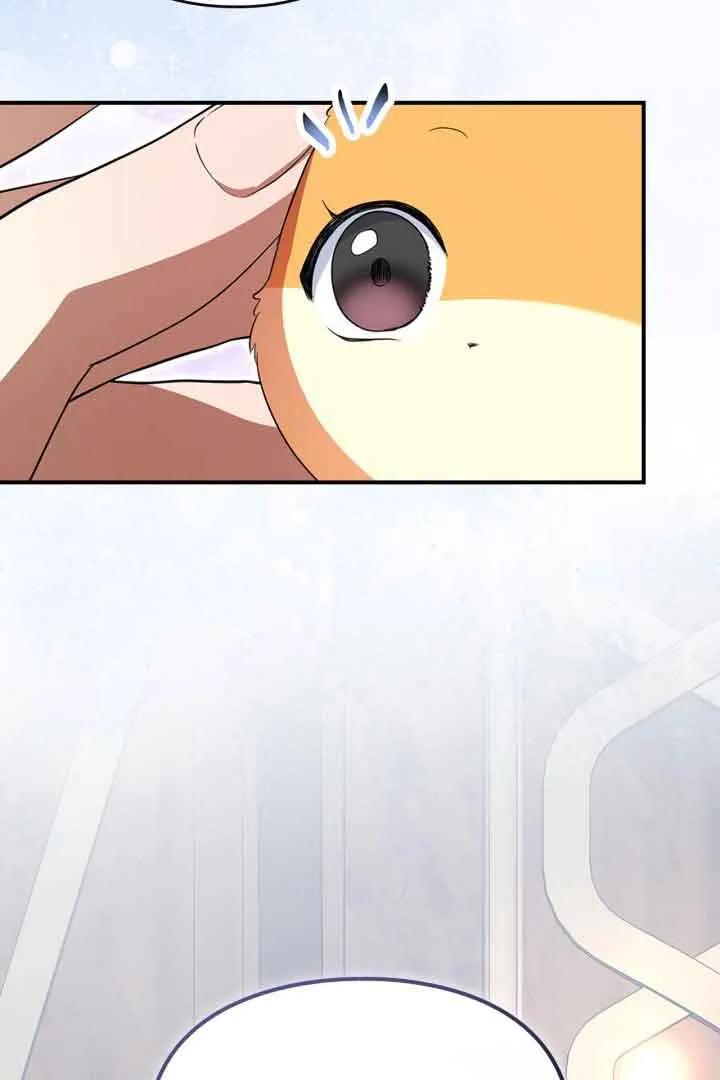 62.jpg