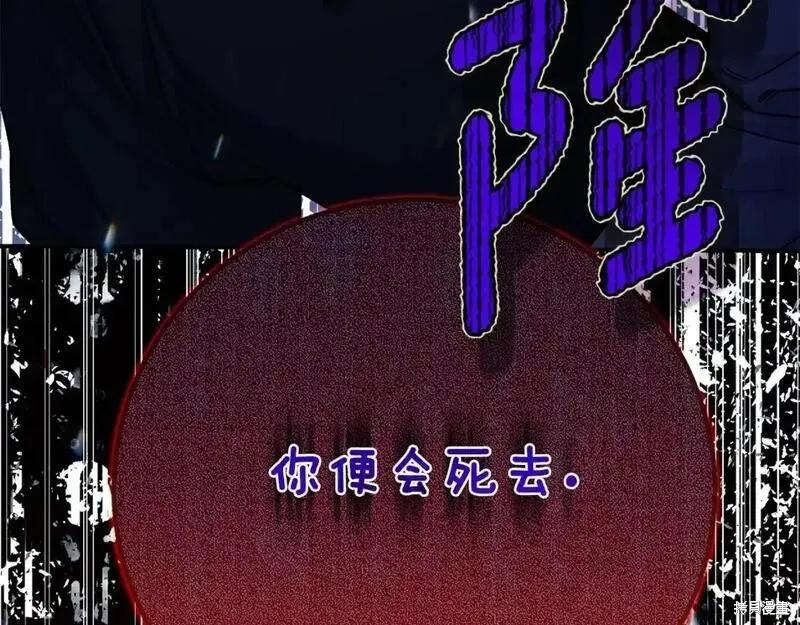 243.jpg
