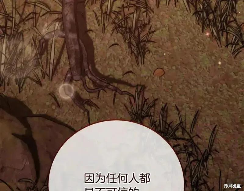 247.jpg