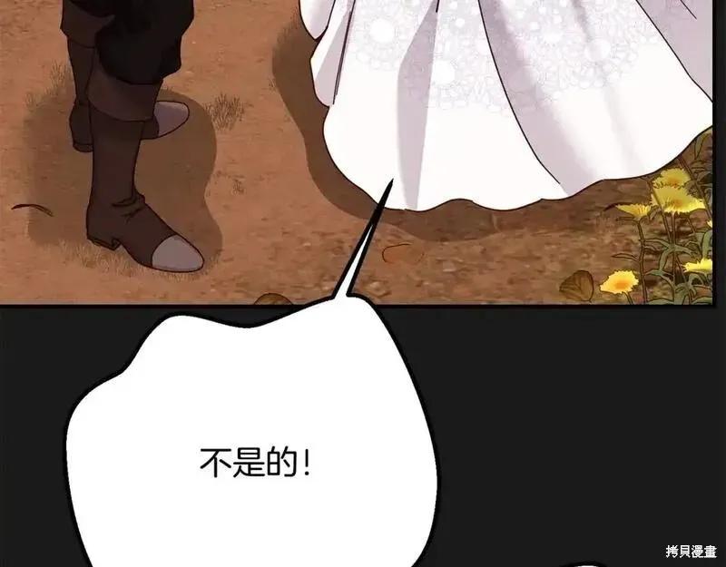 211.jpg