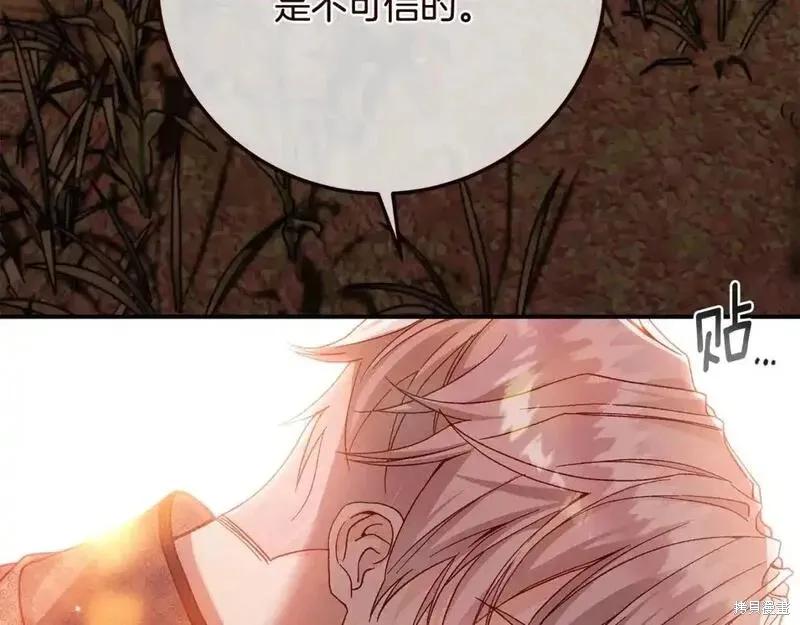 248.jpg