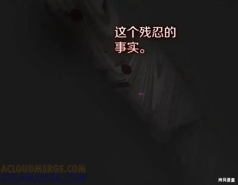 97.jpg