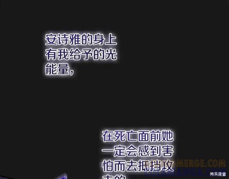 217.jpg