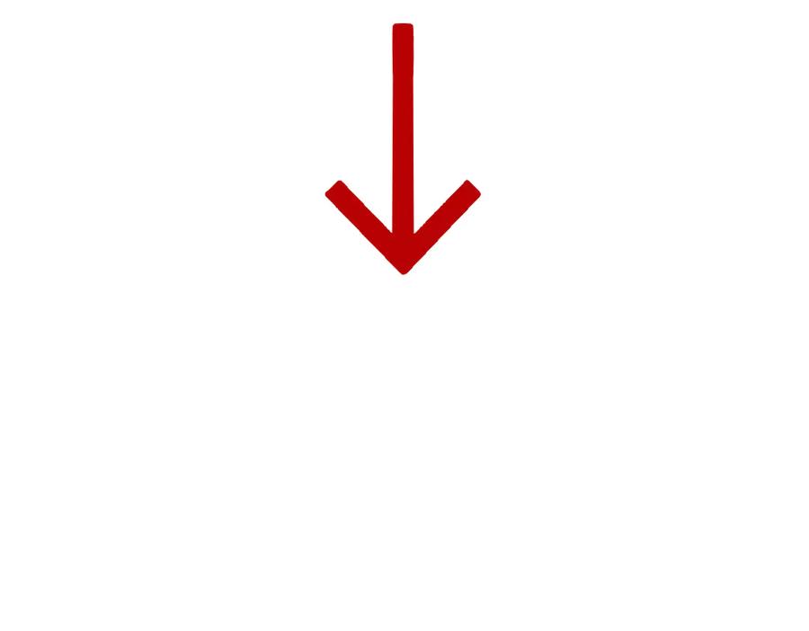 100.jpg
