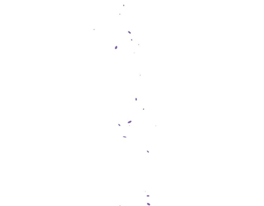 63.jpg