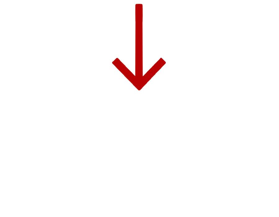 120.jpg