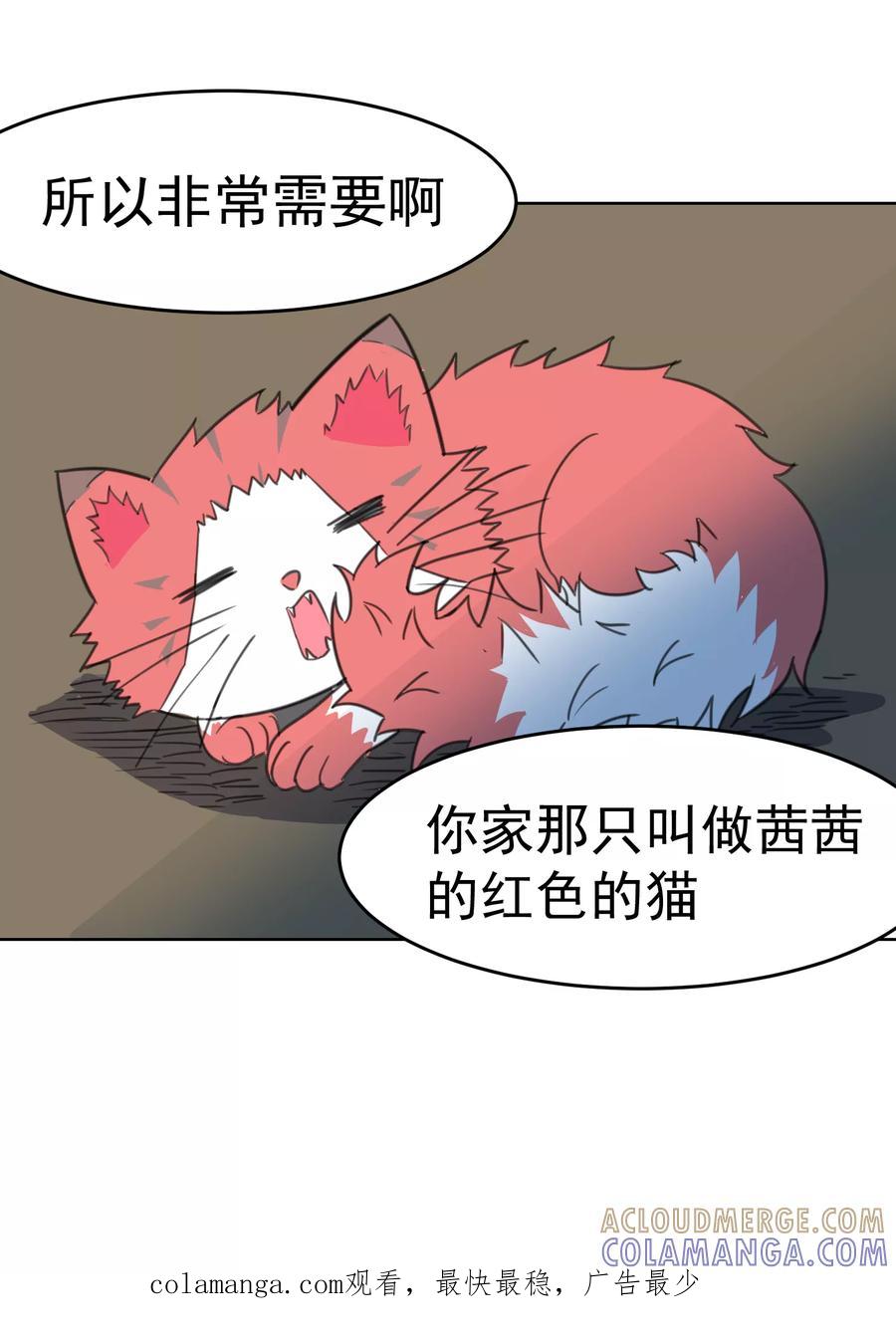 第13话-猫的制作人-极漫文化（第12张）