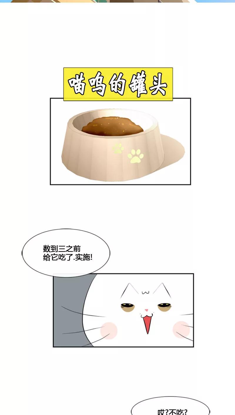 第70话-ICE-Cold要员的捡猫事件-漫拍拍 金耶琳 张流拉（第12张）