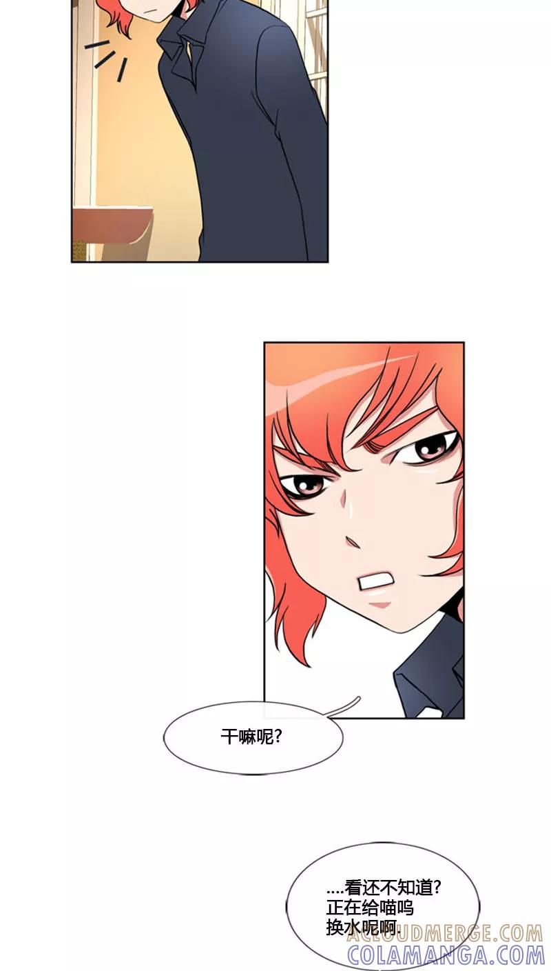 第70话-ICE-Cold要员的捡猫事件-漫拍拍 金耶琳 张流拉（第17张）