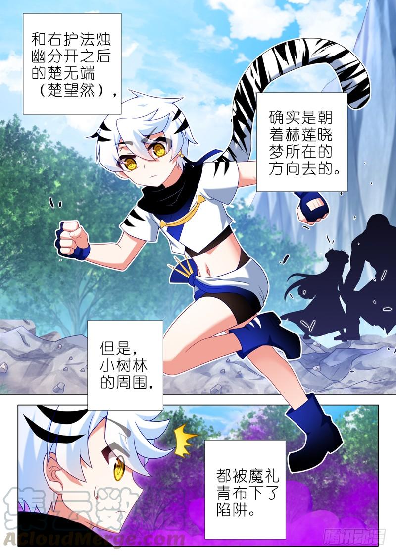 3.jpg