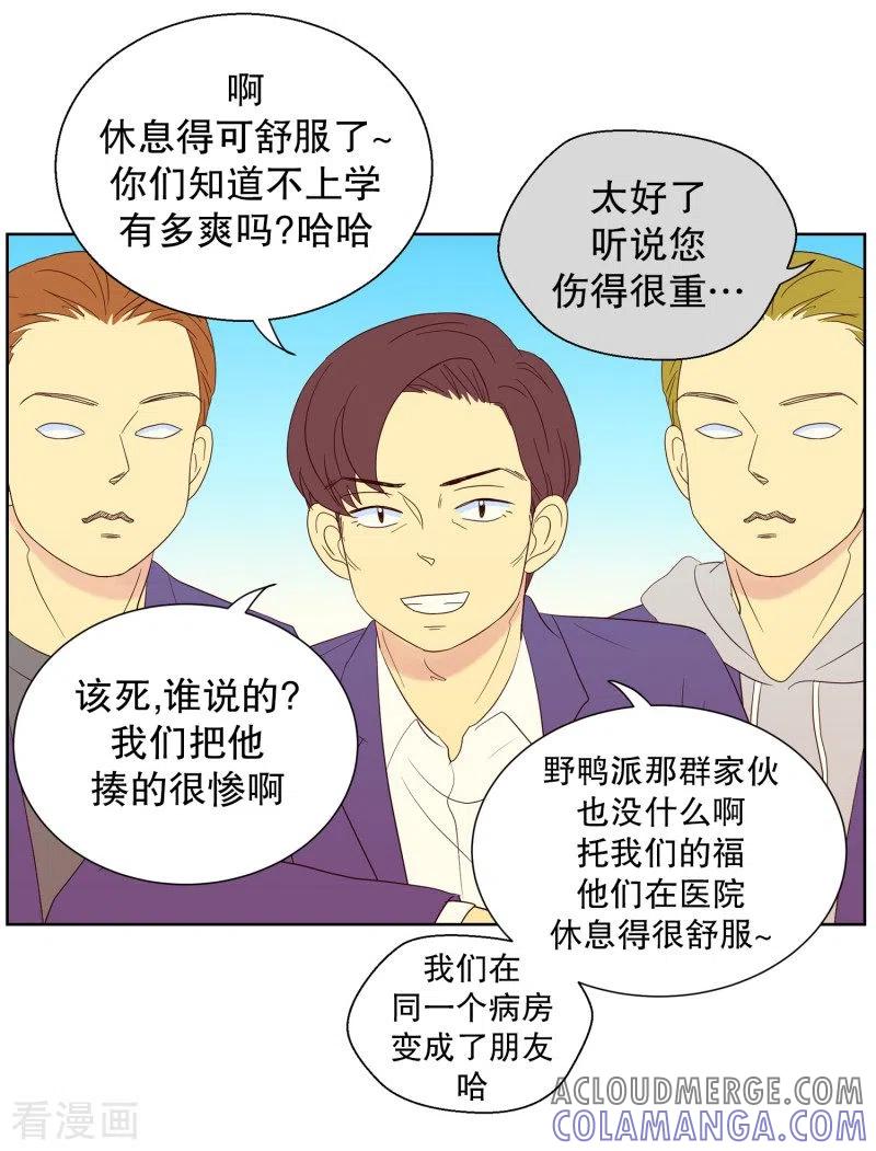 第77话向花瓣许愿2-走进少女的心-不仅文化（第3张）