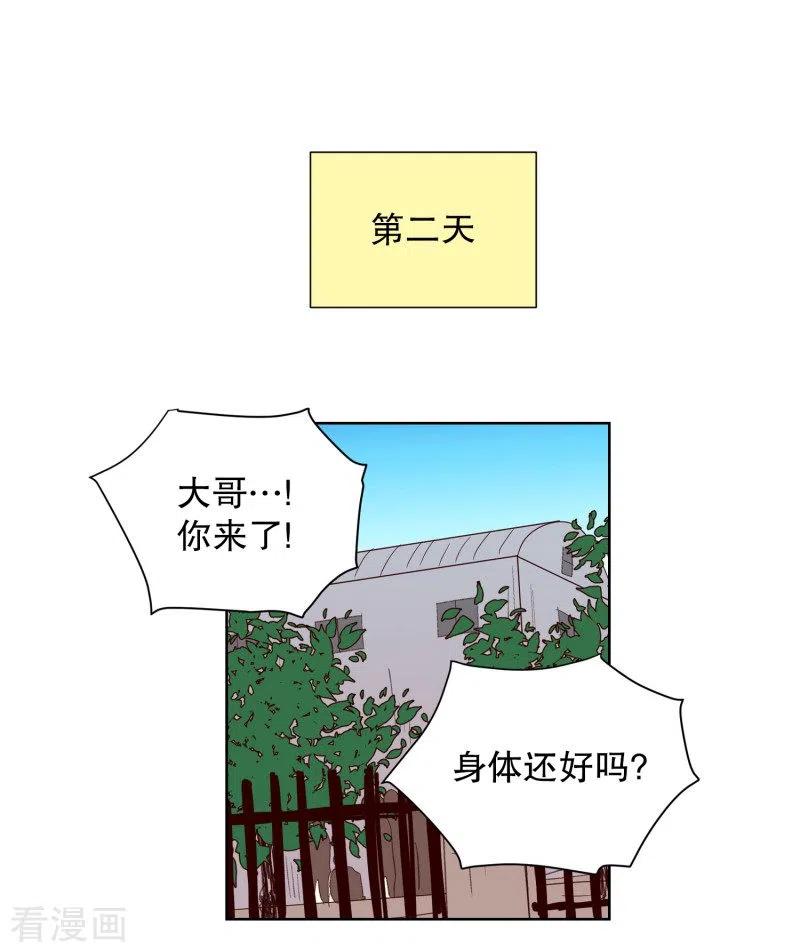 第77话向花瓣许愿2-走进少女的心-不仅文化（第2张）