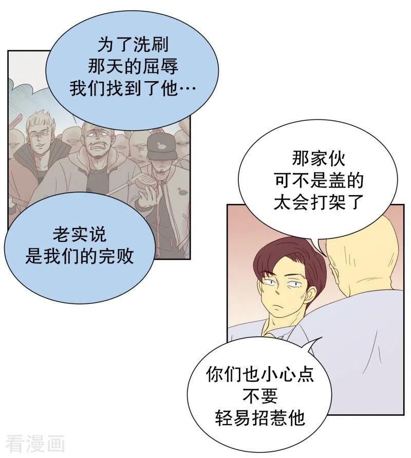 第77话向花瓣许愿2-走进少女的心-不仅文化（第14张）