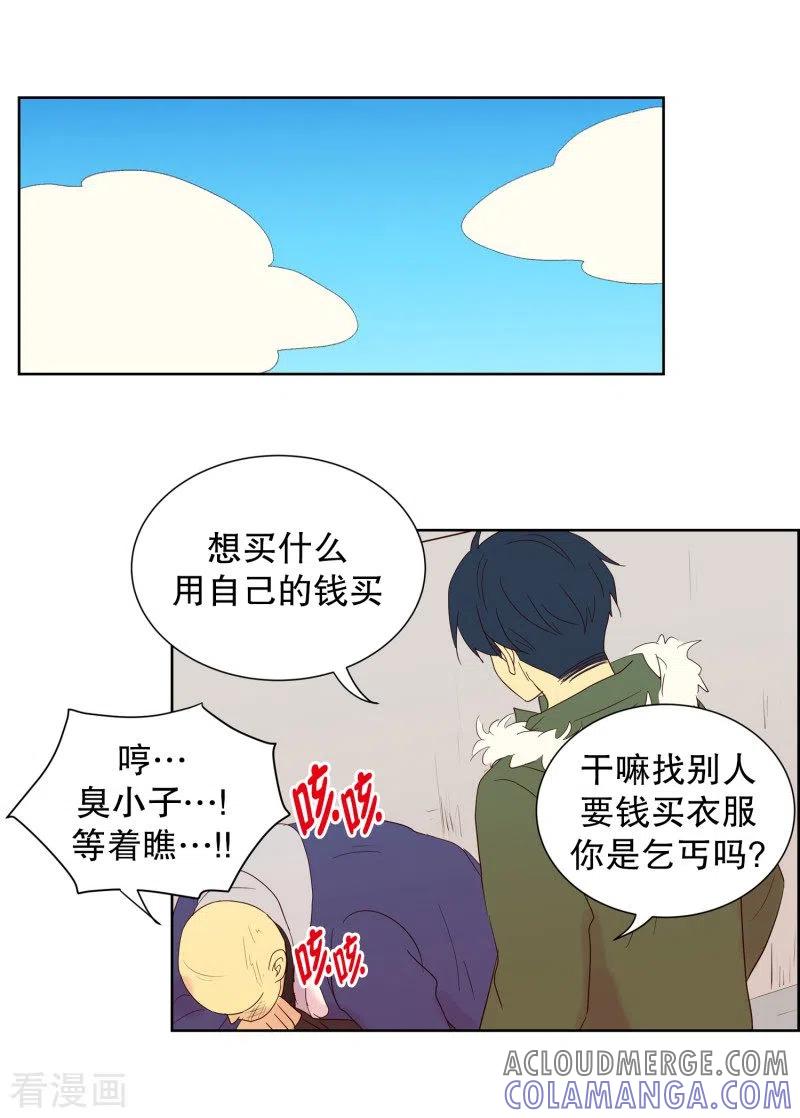 第77话向花瓣许愿2-走进少女的心-不仅文化（第11张）