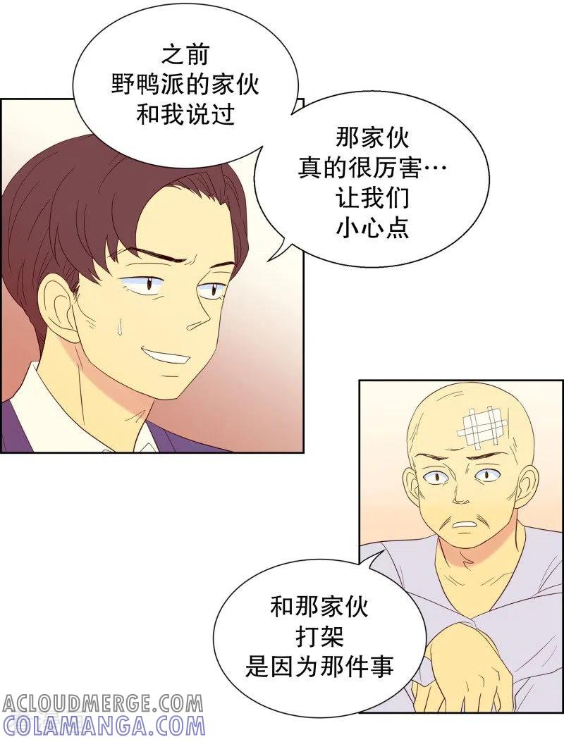 第77话向花瓣许愿2-走进少女的心-不仅文化（第7张）