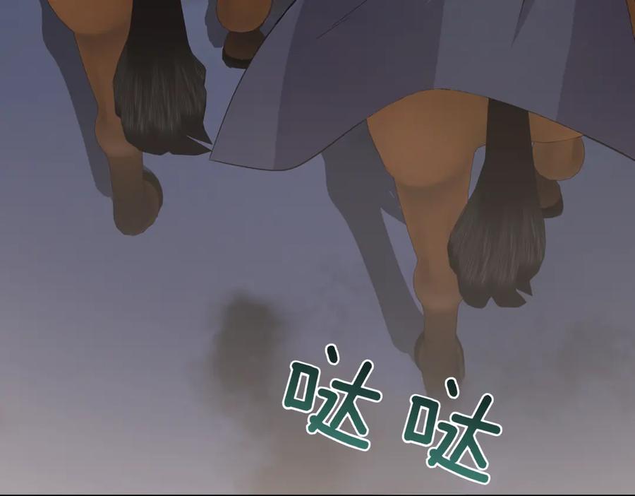 216.jpg