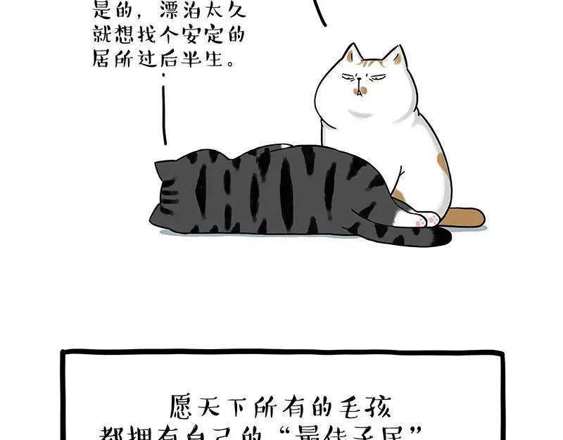 56.jpg