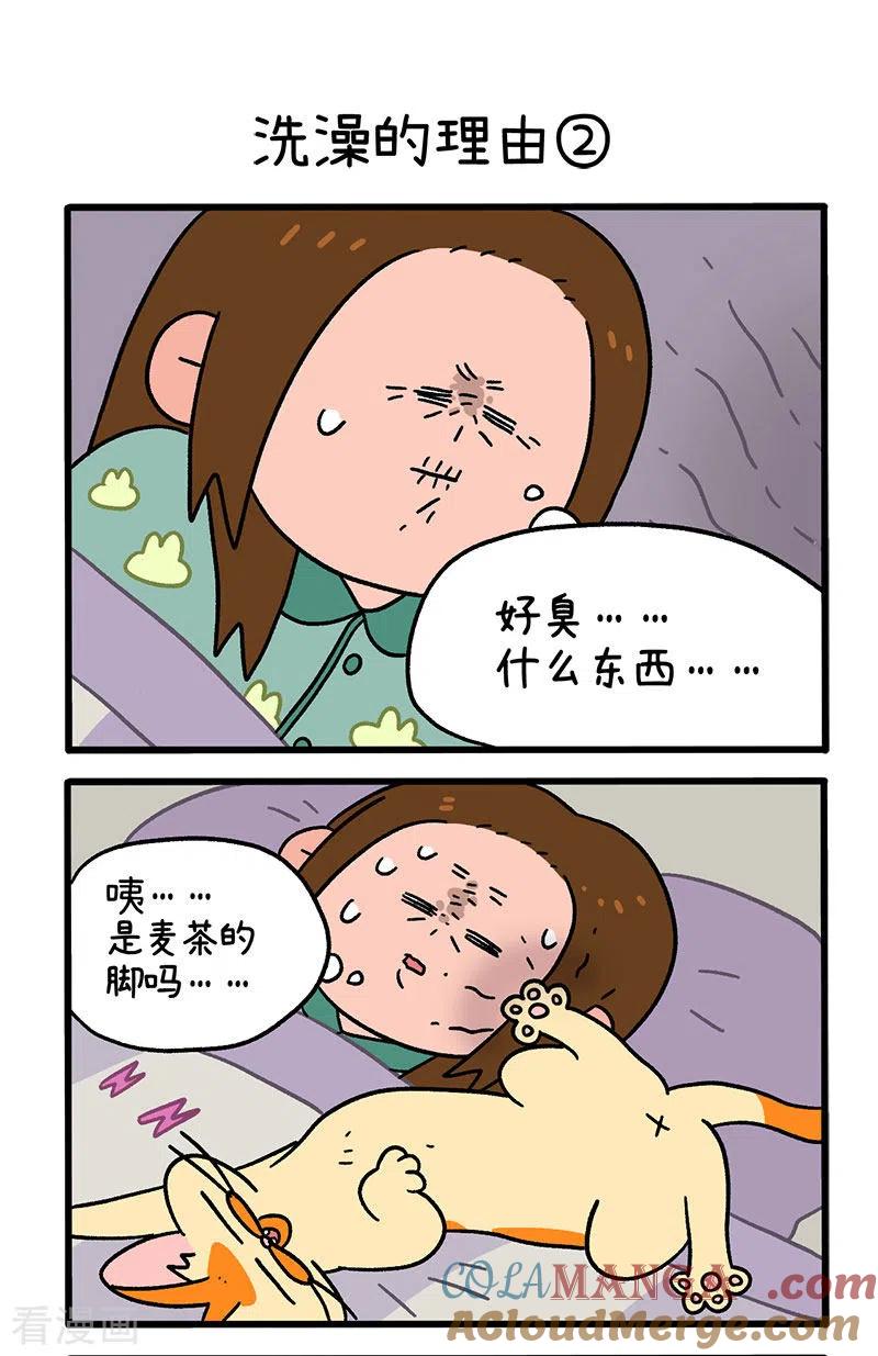第55话洗澡的理由-阿满和麦茶-新漫画 日胖大海寺（第3张）