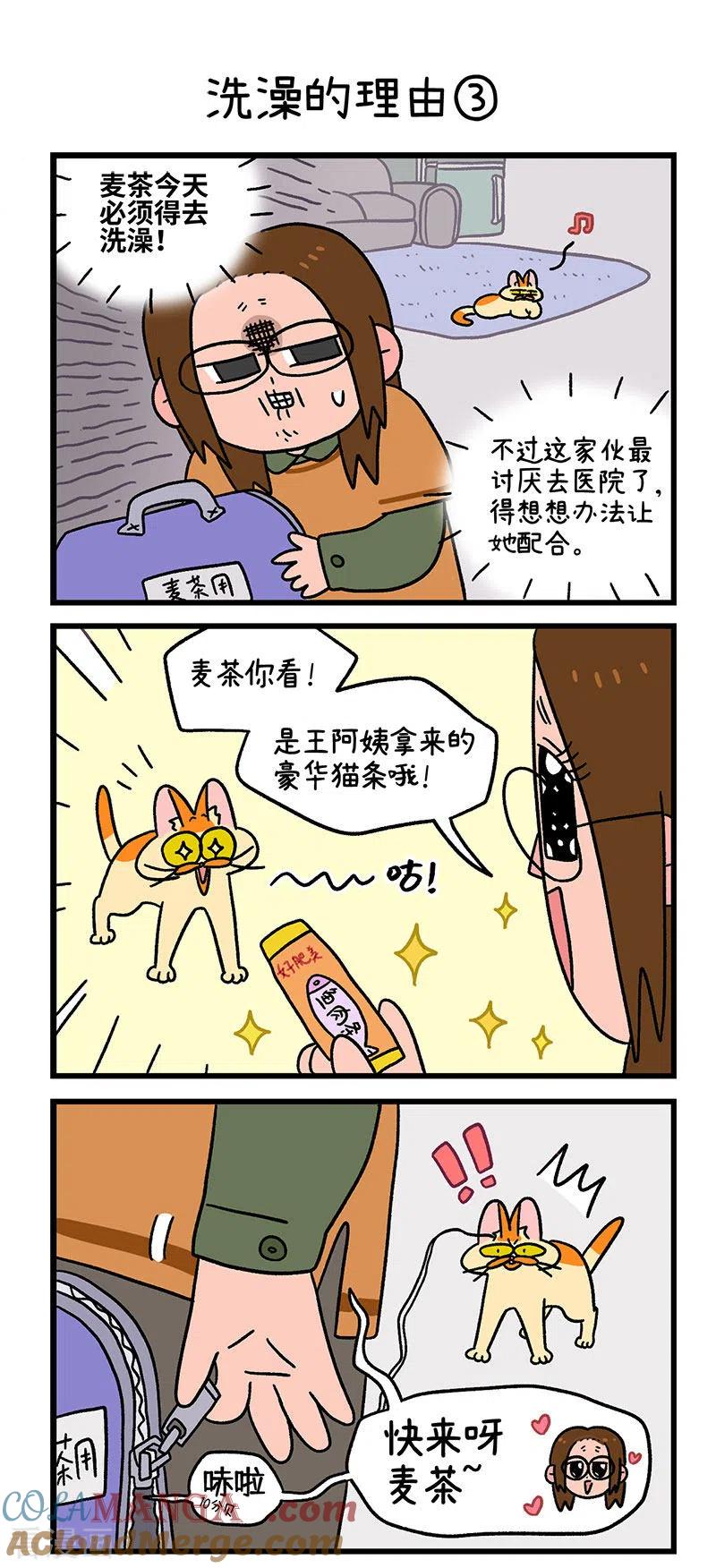 第55话洗澡的理由-阿满和麦茶-新漫画 日胖大海寺（第5张）