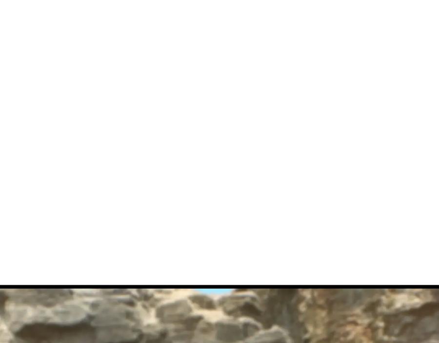82.jpg