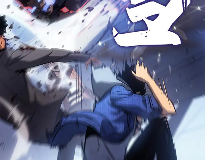 339.jpg