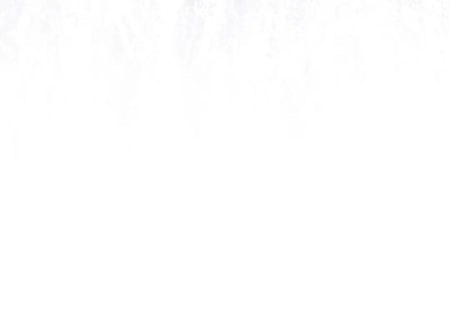 96.jpg