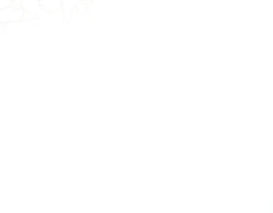 147.jpg