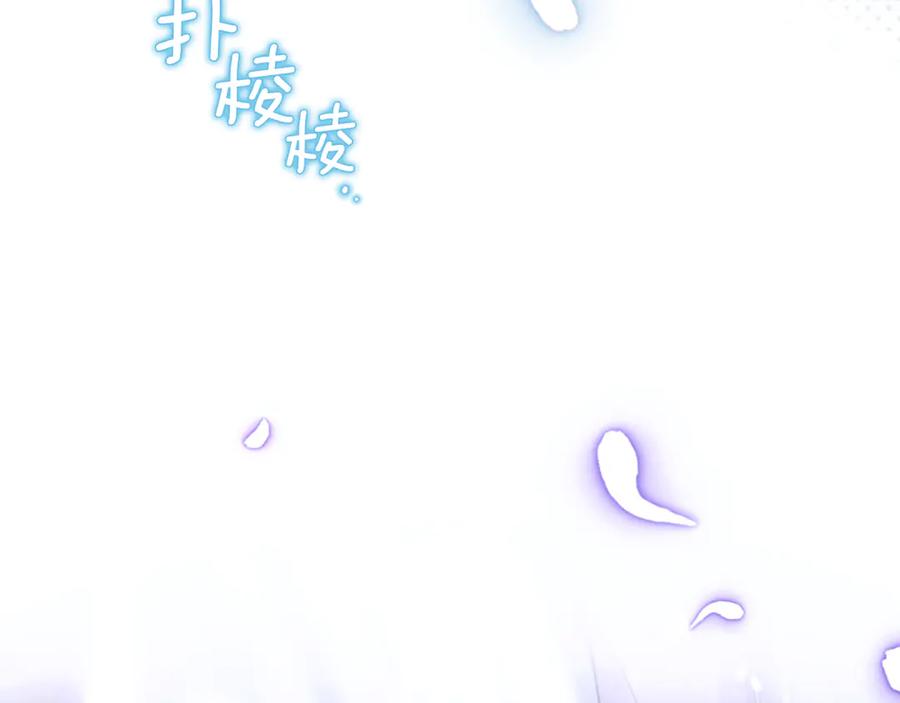 96.jpg