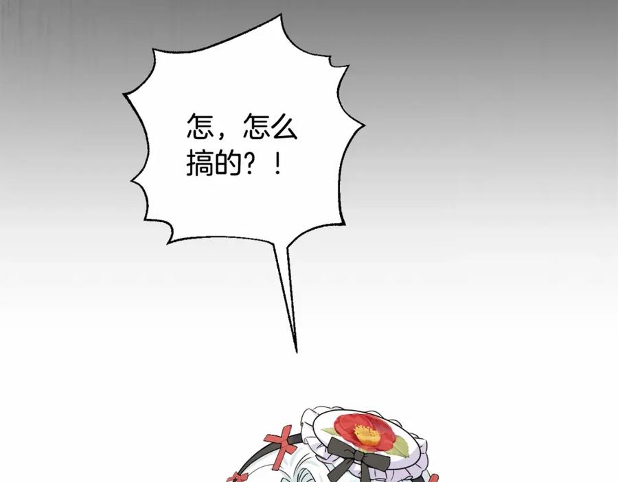 246.jpg