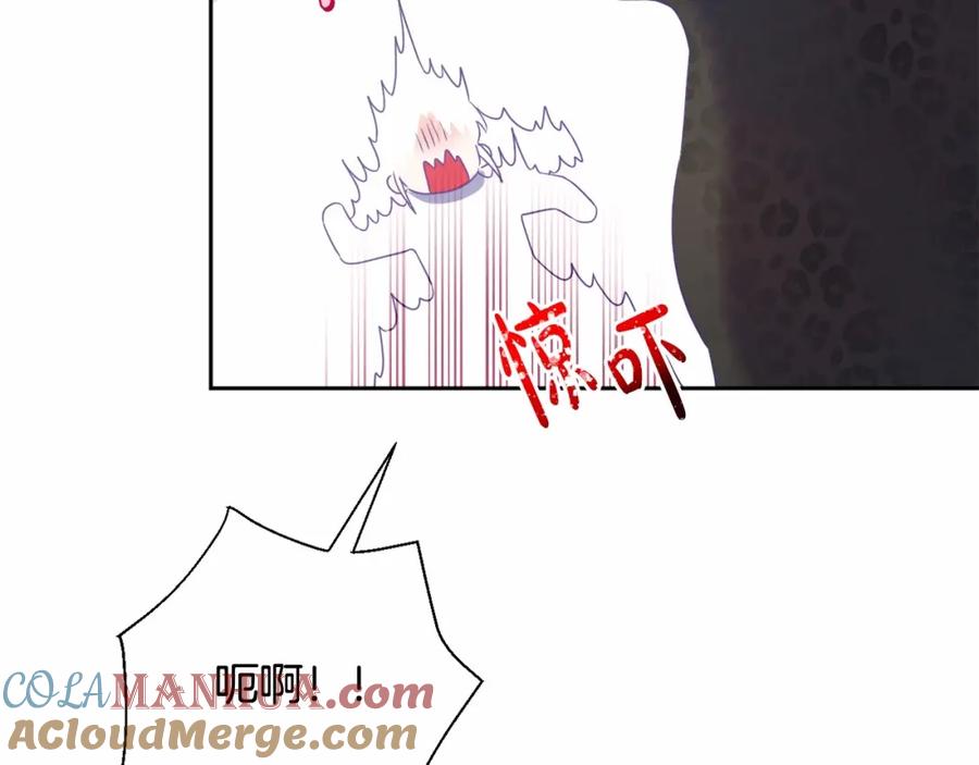 73.jpg