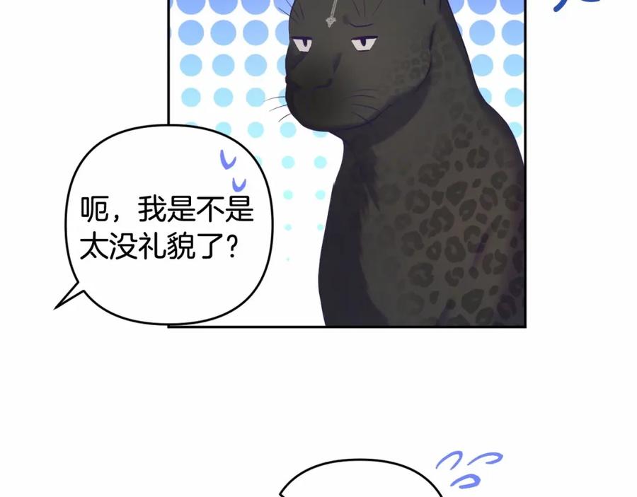 75.jpg