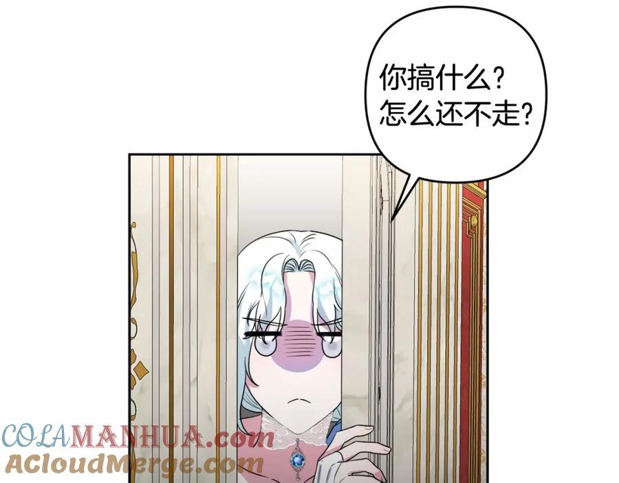 113.jpg