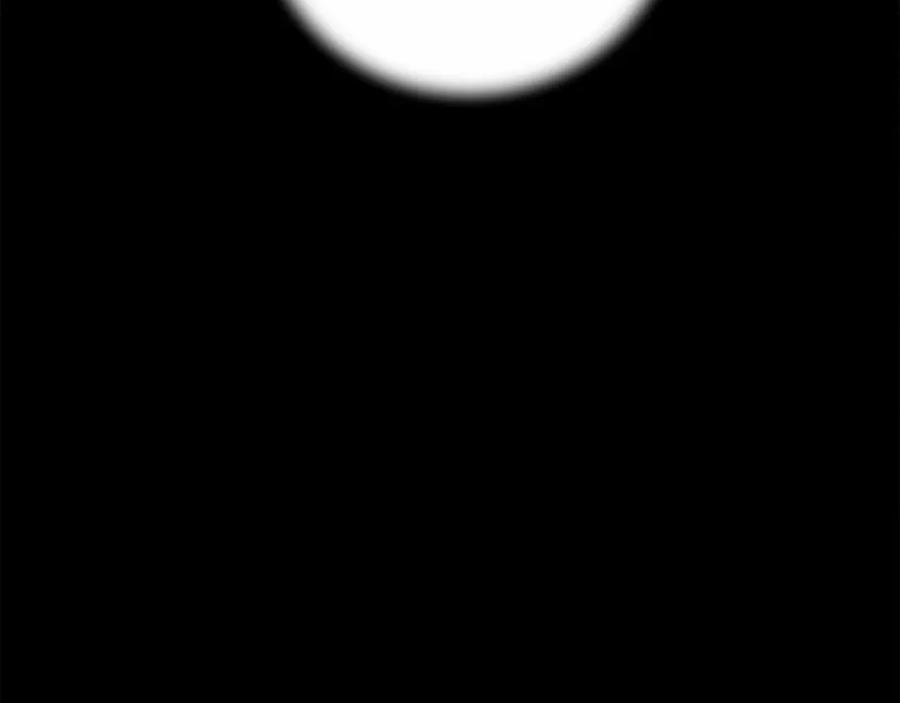224.jpg